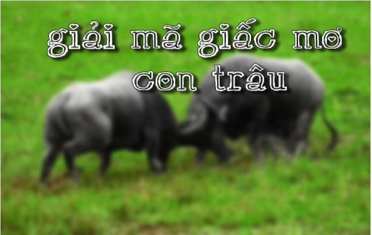 Giải mã giấc mơ con trâu